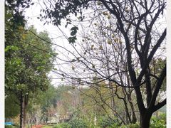 -东湖落雁景区