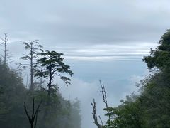 -峨眉山风景名胜区