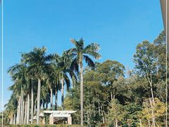 -南国桃园旅游度假区