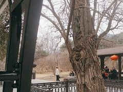 -北京植物园-展览温室