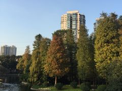 -晓港公园