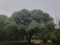 -沈阳植物园