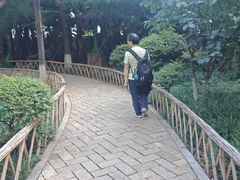 -昆明动物园