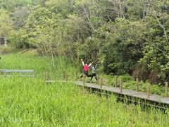 -黄龙溪欢乐田园