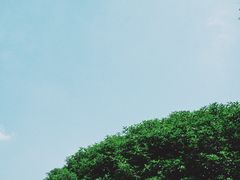 -邱记私房菜·十八年本地菜
