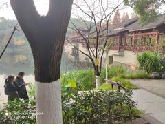 -重庆彩云湖湿地公园