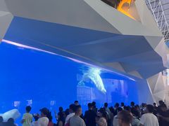 -泉城欧乐堡海洋极地世界