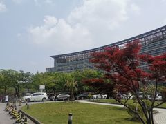 -上海中医药大学附属曙光医院(东部)