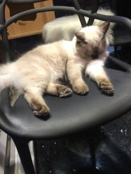 -隅日式美甲美睫專門店