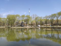 -安德鲁户外烧烤帐篷营地(马泉营店)