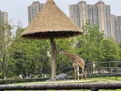 -南昌动物园