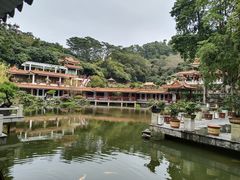 -深圳仙湖植物园