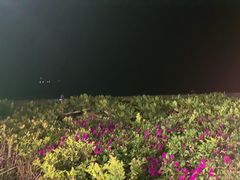 -渔家火锅·海鲜自助餐·演艺(亚龙湾天域酒店)