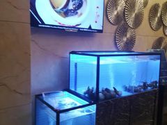 水产区-酌宴府The China Club·广州万富希尔顿酒店(云城东路店)