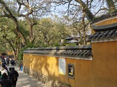 -普陀山风景名胜区-法雨禅寺