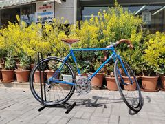 -道路口单车爱瓦士dahon大行