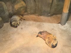 -顺德南宏海立方海洋公园