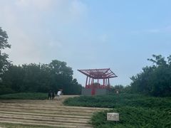 -大望京公园