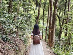 -广州市帽峰山景区