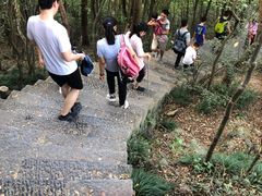 -紫金山山顶公园