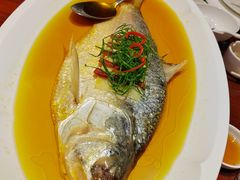 火腿整鲥鱼-明州小宴(文化广场店)