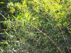 -盛邦家居建材广场