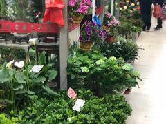 -无锡文化工艺品市场(槐古路店)