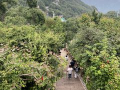 -老君山风景名胜区