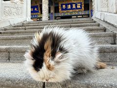 -玉佛苑