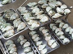 -蚝专家(北滘店)