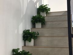 -风格style 专业烫染