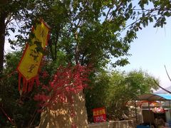 -连云港云龙涧原生态风景区
