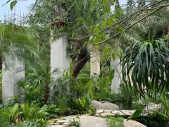 -深圳仙湖植物园