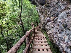 -青城山