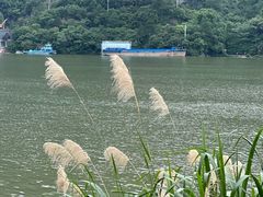 -严子陵钓台(富春江小三峡)