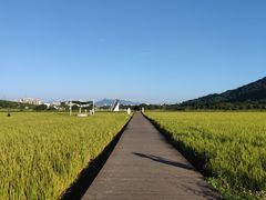 -艾米稻香小镇
