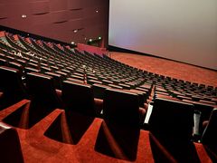 -悦江新远影城IMAX