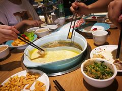 -青瓷火锅料理(西单大悦城店)