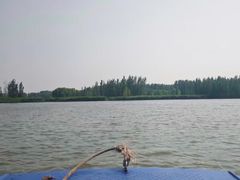 -白洋淀景区
