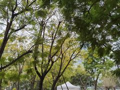 -桂溪生态公园
