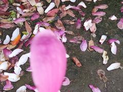 -上海总工会黄浦区工人体育馆-停车场