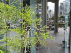 -Home Cafe(水榭春天店)