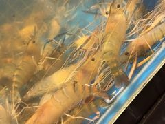 -初色海鲜自助(万丰路店)