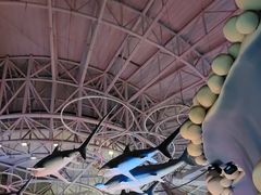 -烟台海昌鲸鲨海洋公园