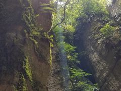 -梦幻奥陶纪景区