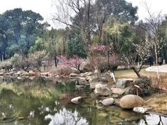 -白马涧龙池景区