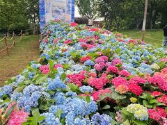 -武汉园博园(武汉自然博物馆)