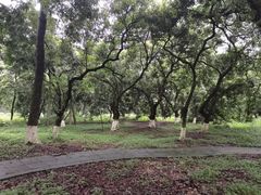 -张坝桂圆林公园