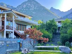 -禅宗少林·音乐大典