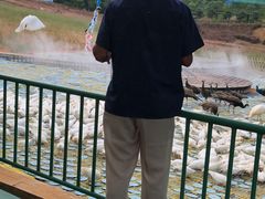 -瓷天下海丝谷